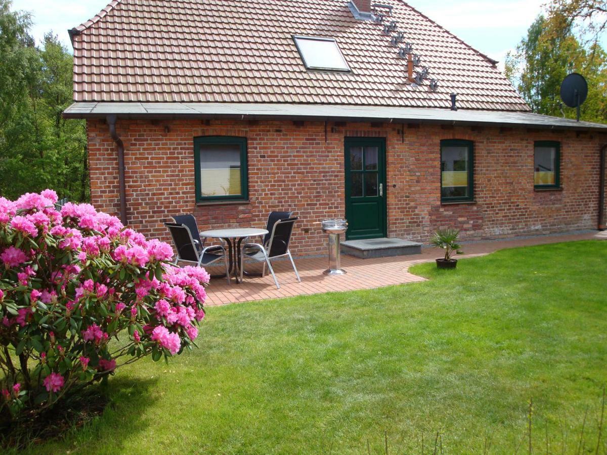 Am Waldessaum 10 Apartment Ribnitz-Damgarten Exterior photo